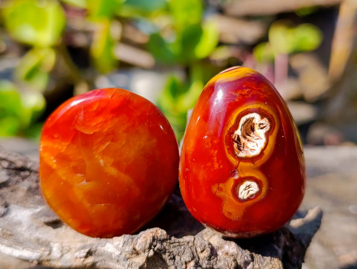Polished Carnelian Agate Palm Stones x 16 From Madagascar - Toprock Gemstones and Minerals 