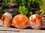 Polished Carnelian Agate Palm Stones x 16 From Madagascar - Toprock Gemstones and Minerals 