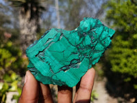 Polished Flower Malachite Slices x 6 From Congo