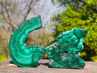 Polished Flower Malachite Slices x 6 From Congo
