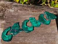 Polished Flower Malachite Slices x 6 From Congo
