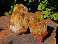 Natural Honey Aragonite Specimens x 6 From Namibia