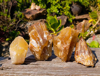 Natural Honey Aragonite Specimens x 6 From Namibia