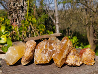 Natural Honey Aragonite Specimens x 6 From Namibia