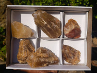 Natural Honey Aragonite Specimens x 6 From Namibia