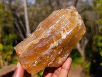 Natural Honey Aragonite Specimens x 6 From Namibia