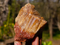Natural Honey Aragonite Specimens x 6 From Namibia