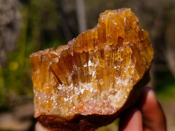 Natural Honey Aragonite Specimens x 6 From Namibia