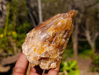 Natural Honey Aragonite Specimens x 6 From Namibia
