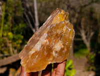 Natural Honey Aragonite Specimens x 6 From Namibia