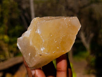 Natural Honey Aragonite Specimens x 6 From Namibia