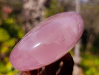 Polished Rose Quartz Standing Free Forms x 2 From Madagascar