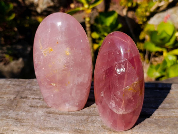 Polished Rose Quartz Standing Free Forms x 2 From Madagascar