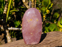 Polished Rose Quartz Standing Free Forms x 2 From Madagascar
