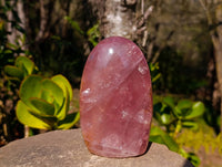 Polished Rose Quartz Standing Free Forms x 2 From Madagascar