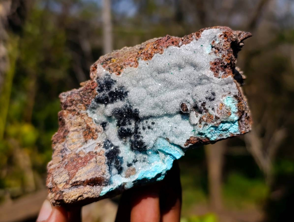 Natural Drusy Chrysocolla Specimens x 2 From Congo - Toprock Gemstones and Minerals 