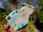 Natural Drusy Chrysocolla Specimens x 2 From Congo - Toprock Gemstones and Minerals 