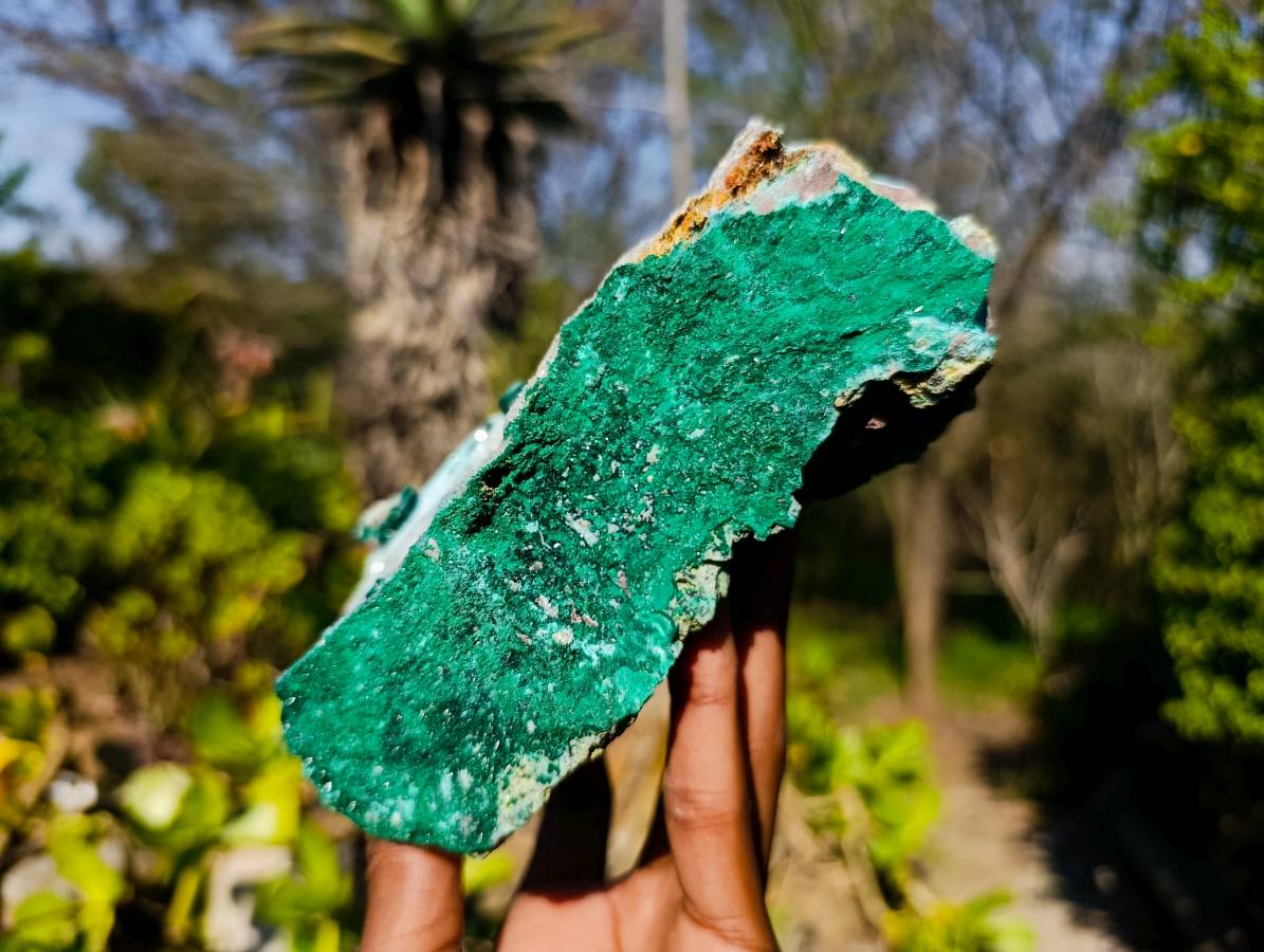 Natural Drusy Chrysocolla Specimens x 2 From Congo - Toprock Gemstones and Minerals 