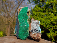 Natural Drusy Chrysocolla Specimens x 2 From Congo