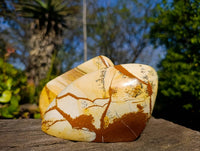 Polished Picture Stone Jasper Standing Free Forms x 2 From Ais-Ais, Namibia