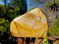 Polished Picture Stone Jasper Standing Free Forms x 2 From Ais-Ais, Namibia