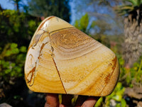 Polished Picture Stone Jasper Standing Free Forms x 2 From Ais-Ais, Namibia