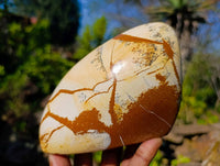 Polished Picture Stone Jasper Standing Free Forms x 2 From Ais-Ais, Namibia