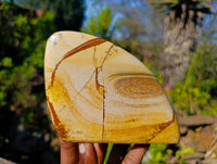 Polished Picture Stone Jasper Standing Free Forms x 2 From Ais-Ais, Namibia