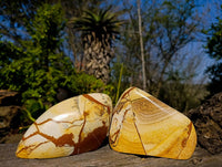 Polished Picture Stone Jasper Standing Free Forms x 2 From Ais-Ais, Namibia