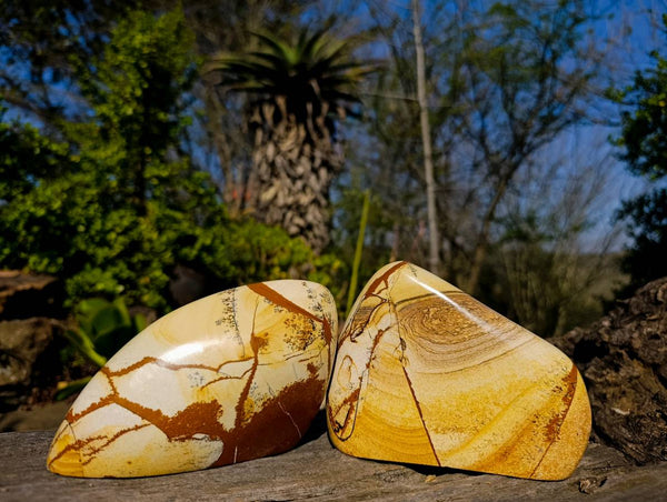 Polished Picture Stone Jasper Standing Free Forms x 2 From Ais-Ais, Namibia