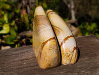 Polished Picture Stone Jasper Standing Free Forms x 2 From Ais-Ais, Namibia