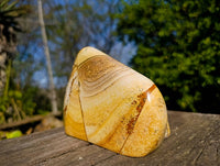 Polished Picture Stone Jasper Standing Free Forms x 2 From Ais-Ais, Namibia