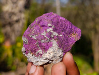 Natural Metallic Purpurite Specimens x 4 From Erongo, Namibia