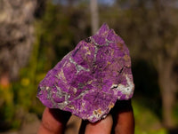 Natural Metallic Purpurite Specimens x 4 From Erongo, Namibia