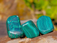 Polished Flower Malachite Free Forms x 70 From Congo
