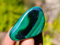 Polished Flower Malachite Free Forms x 70 From Congo