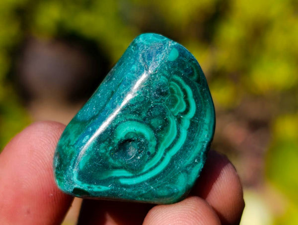 Polished Flower Malachite Free Forms x 70 From Congo