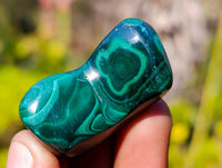 Polished Flower Malachite Free Forms x 70 From Congo