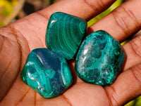 Polished Flower Malachite Free Forms x 70 From Congo
