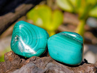 Polished Flower Malachite Free Forms x 70 From Congo