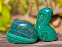 Polished Flower Malachite Free Forms x 70 From Congo