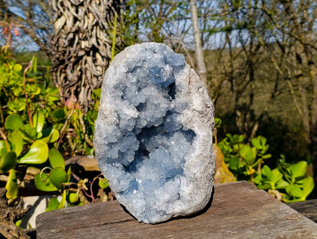 Natural Celestite Geode Specimen x 1 From Sakoany, Madagascar - Toprock Gemstones and Minerals 