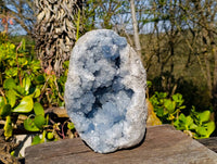 Natural Celestite Geode Specimen x 1 From Sakoany, Madagascar