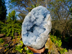 Natural Celestite Geode Specimen x 1 From Sakoany, Madagascar - Toprock Gemstones and Minerals 