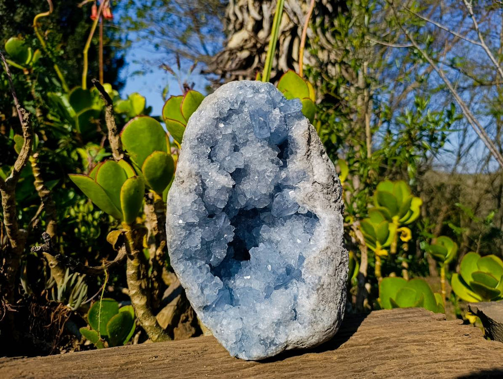 Natural Celestite Geode Specimen x 1 From Sakoany, Madagascar - Toprock Gemstones and Minerals 