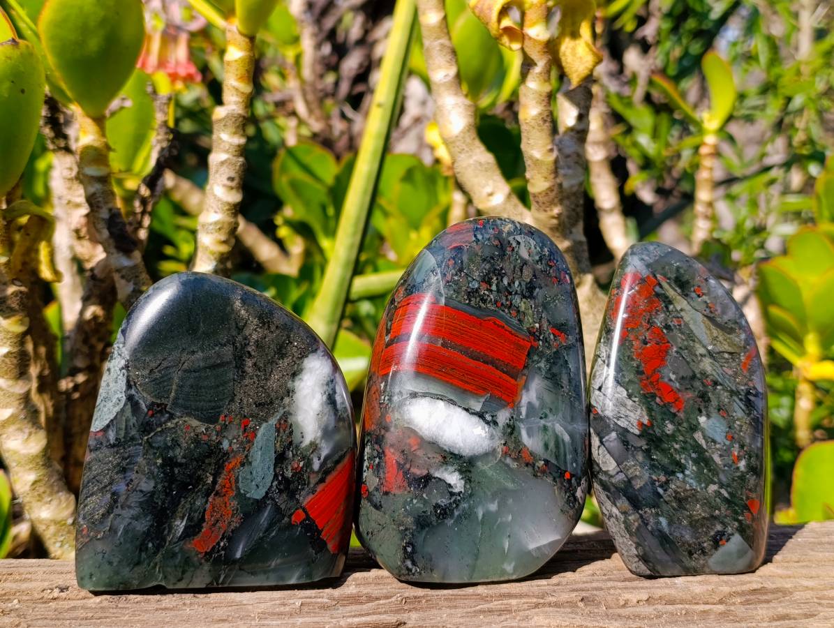 Polished Bloodstone Standing Free Forms x 3 From Swaziland - Toprock Gemstones and Minerals 