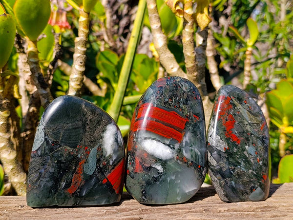 Polished Bloodstone Standing Free Forms x 3 From Swaziland