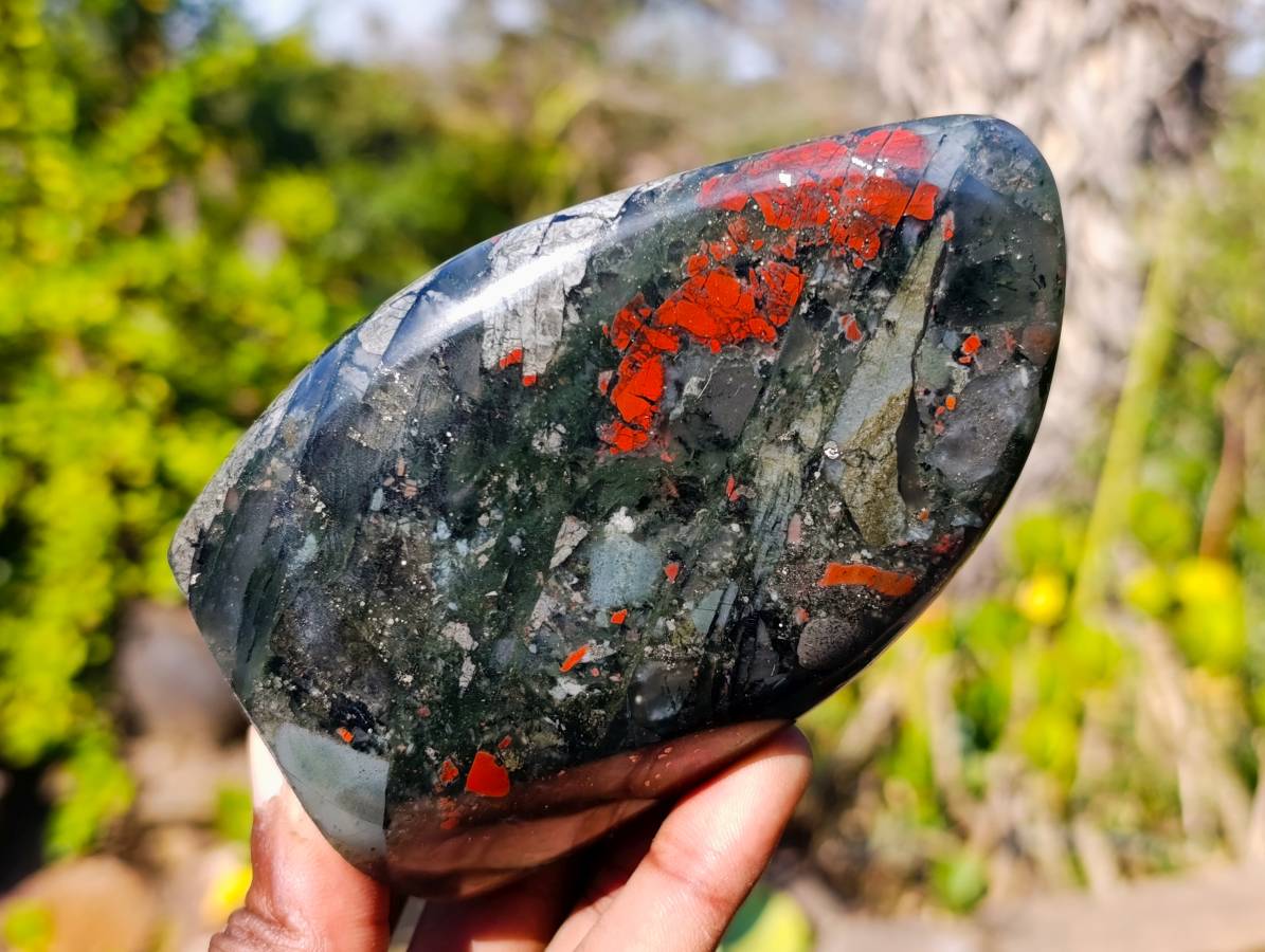 Polished Bloodstone Standing Free Forms x 3 From Swaziland - Toprock Gemstones and Minerals 