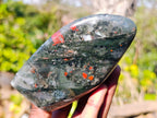 Polished Bloodstone Standing Free Forms x 3 From Swaziland - Toprock Gemstones and Minerals 