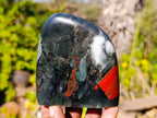 Polished Bloodstone Standing Free Forms x 3 From Swaziland - Toprock Gemstones and Minerals 